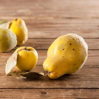 Quitten Birne von Olli