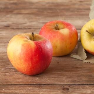 Apfel Elstar