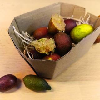 Kaviar-Limetten bunter Mix