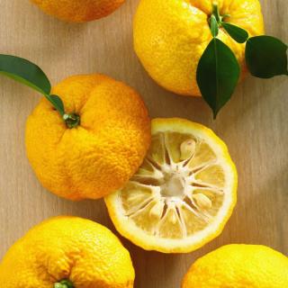 Chinesische Bitterzitrone