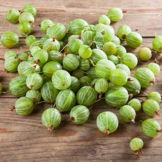 Stachelbeeren GELB
