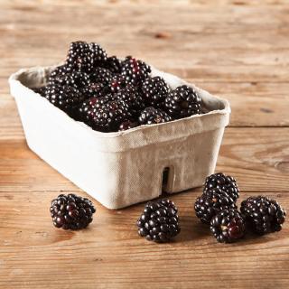Brombeeren von Isak