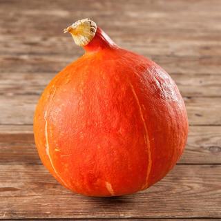 Kürbis Hokkaido extra klein 8-10cm