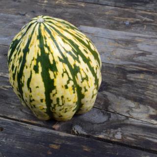 Kürbis Sweet Dumpling weiß-grün gestreift