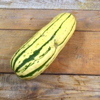 Kürbis Delicata ca.500g süß-nussig