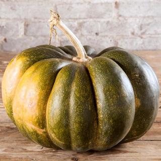 Kürbis Blue Hubbard ca. 5-9kg