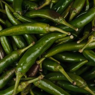 Chili Jalapeno Schärfe 5-7