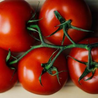 Tomaten Strauchtomaten