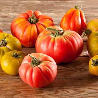 Tomaten Fleisch Kakao dunkel