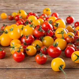 Tomaten Wilder Mix lose