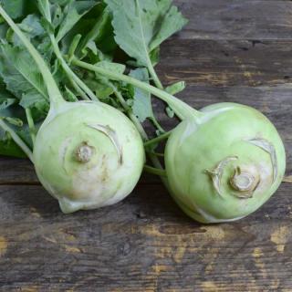 Kohlrabi  ´8cm