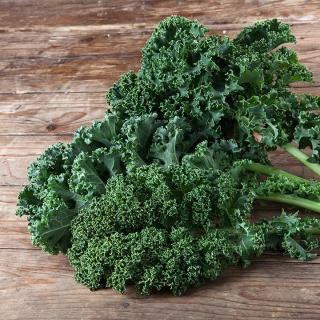 Grünkohl junge Blätter