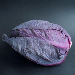 Spitzkohl ROT