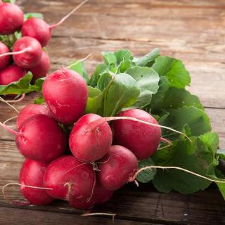 Radieschen