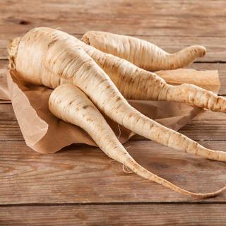 Wurzelpetersilie samenfest