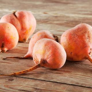 Bete gelb mit/ohne Blatt