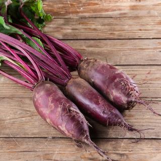 Bete ROT Forono länglich