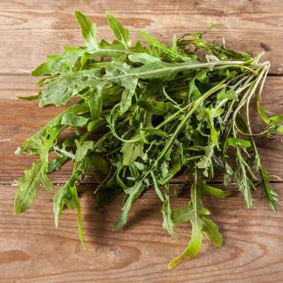 Salat Rucola