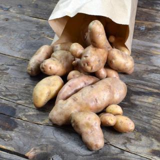 Bamberger Hörnchen (Delikatesskartoffel)