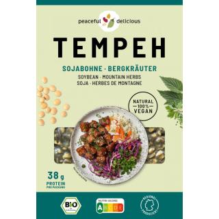 Tempeh Block Mountain Hero