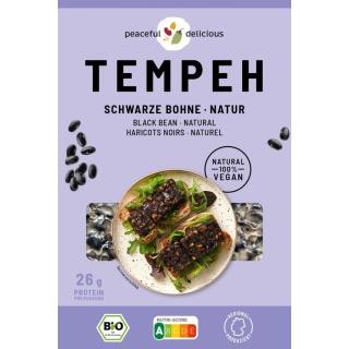 Tempeh Block Schwarze Bohne