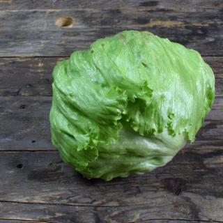 Salat Eisberg mit Umblatt