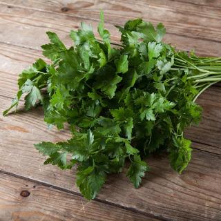Petersilie glatt im Bund