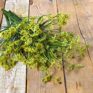 Fenchel getrocknet 30 g