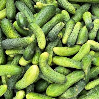 Salzgurken im Becher