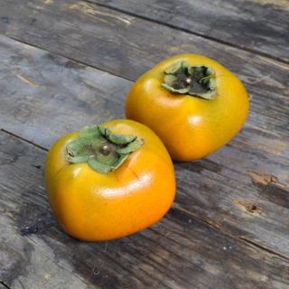 Kaki Rojo/Brillante gelegt  ´ca. 200g