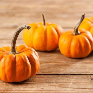 Kürbis Gelber Zentner 2-4 kg