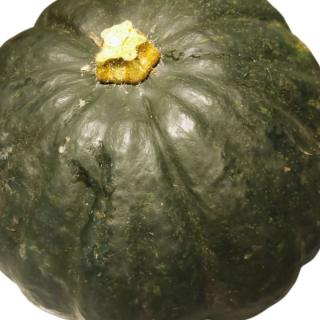 Kürbis Tetsukabuto ca.1-2kg