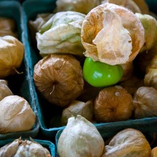 Tomatillos bunt von Isak