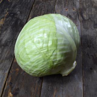 Weißkohl NEUE ERNTE
