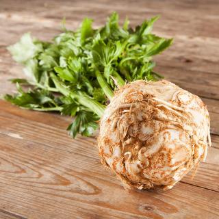 Knollensellerie mit Wurzel