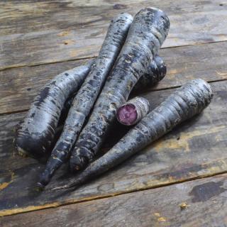 Möhren VIOLETT Lilalu innen orange