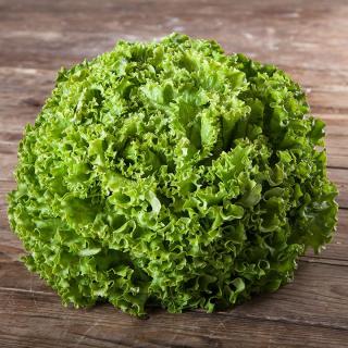 Salat Batavia GRÜN samenfest