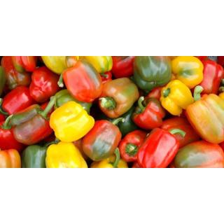 Paprika & Chilli