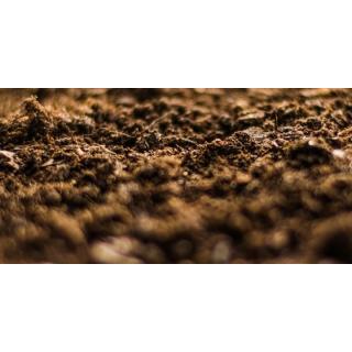 Pflanzerde & Dünger